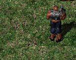 npc.PNG