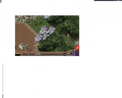 bug3.jpg