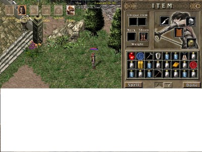 bug4.jpg