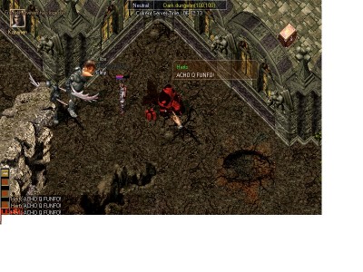 bug5.jpg