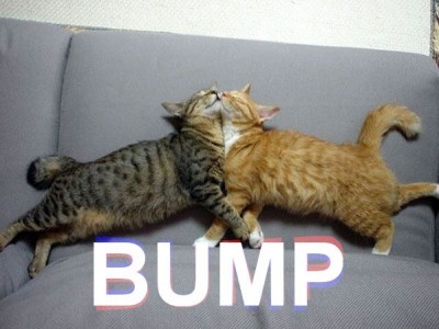 Bump.jpg