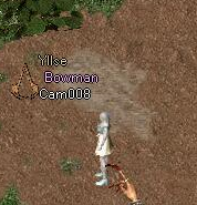 CAM008.png